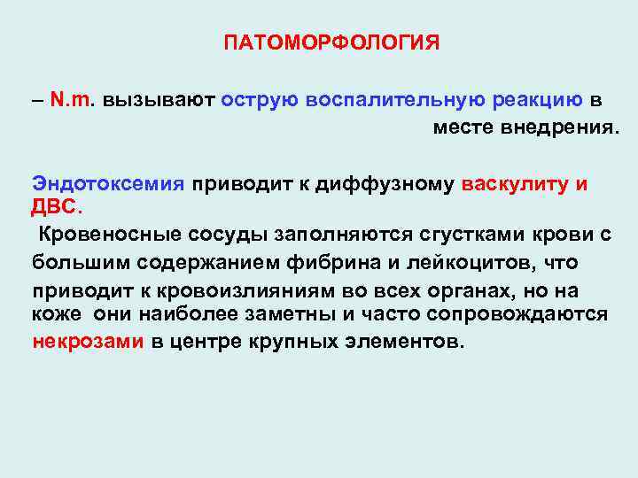 ПАТОМОРФОЛОГИЯ – N. m. вызывают острую воспалительную реакцию в месте внедрения. Эндотоксемия приводит к