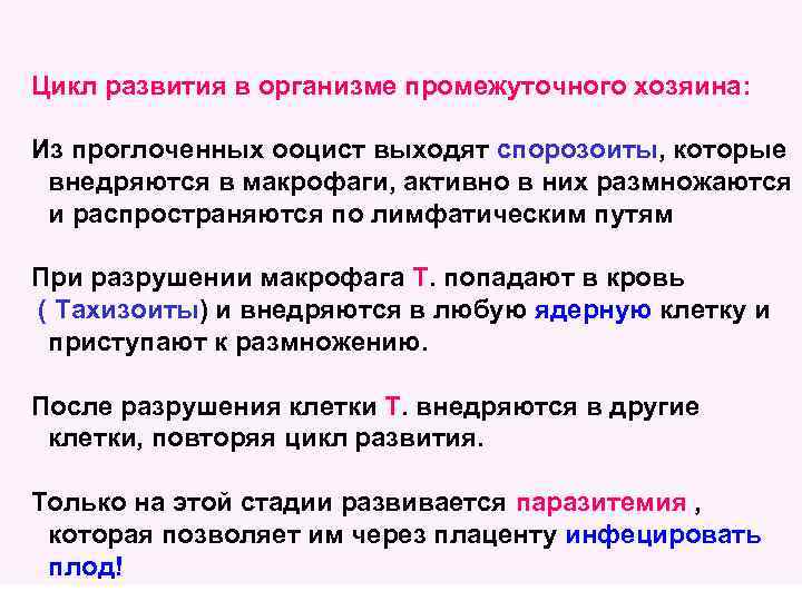 Цикл развития в организме промежуточного хозяина: Из проглоченных ооцист выходят спорозоиты, которые внедряются в