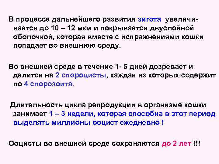 В процессе дальнейшего развития зигота увеличивается до 10 – 12 мкм и покрывается двуслойной