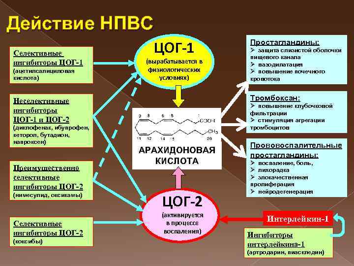 Действия обусловлены. Селективные ингибиторы ЦОГ 1. Неселективные ингибиторы ЦОГ-1 И ЦОГ-2. Неселективный ингибитор (ЦОГ 1, 2). Неселективные ингибиторы ЦОГ 1 механизм действия.