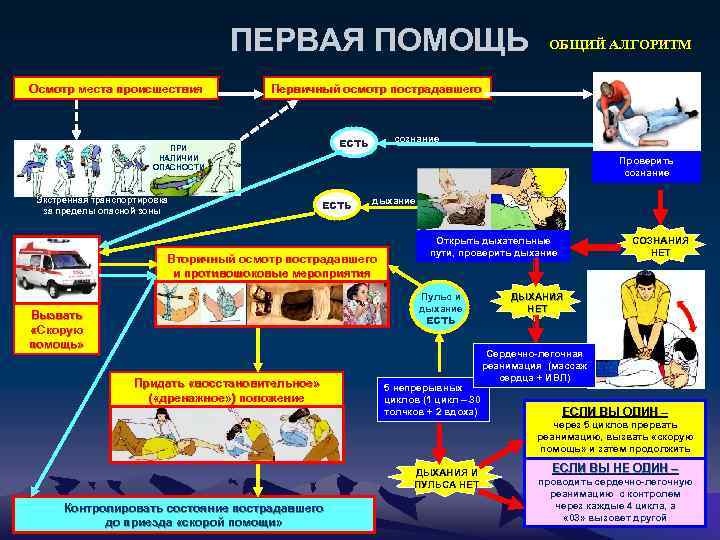 ПЕРВАЯ ПОМОЩЬ Осмотр места происшествия ОБЩИЙ АЛГОРИТМ Первичный осмотр пострадавшего Экстренная транспортировка за пределы