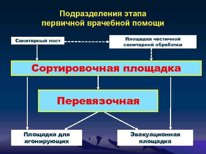 Первичное подразделение