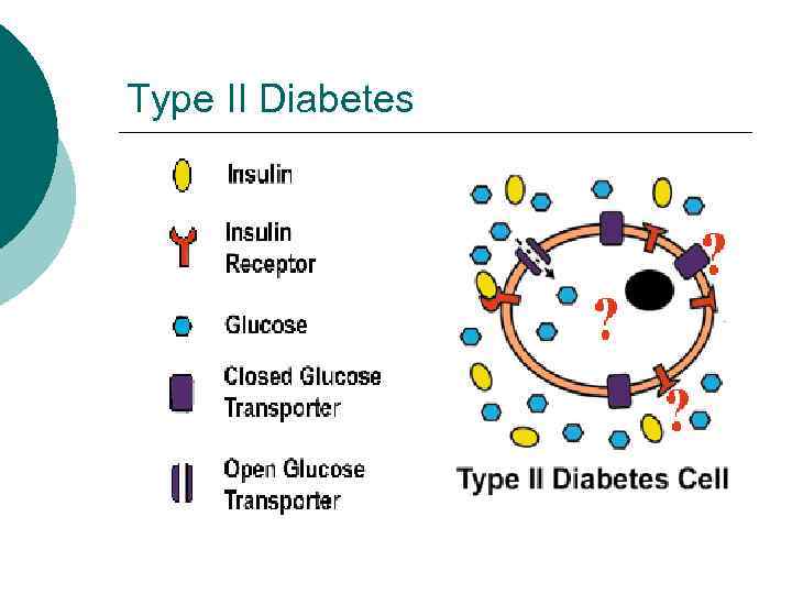 Type II Diabetes 