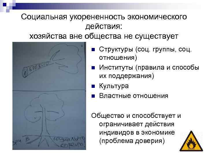 Социальная укорененность экономического действия: хозяйства вне общества не существует n n Структуры (соц. группы,