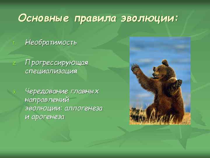 Основные правила эволюции: 1. 2. 3. Необратимость Прогрессирующая специализация Чередование главных направлений эволюции: аллогенеза