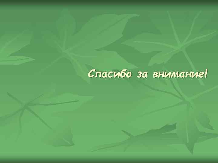 Спасибо за внимание! 