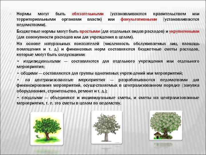  Нормы могут быть обязательными (устанавливаются правительством или территориальными органами власти) или факультативными (устанавливаются