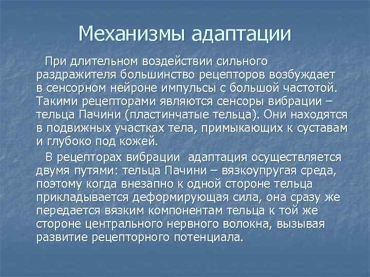 Механизмы адаптации При длительном воздействии сильного раздражителя большинство рецепторов возбуждает в сенсорном нейроне импульсы