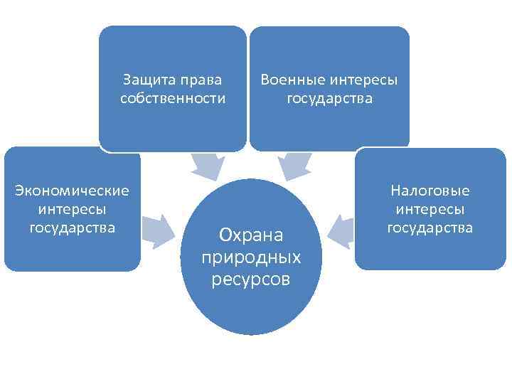 Защита права собственности Экономические интересы государства Военные интересы государства Охрана природных ресурсов Налоговые интересы