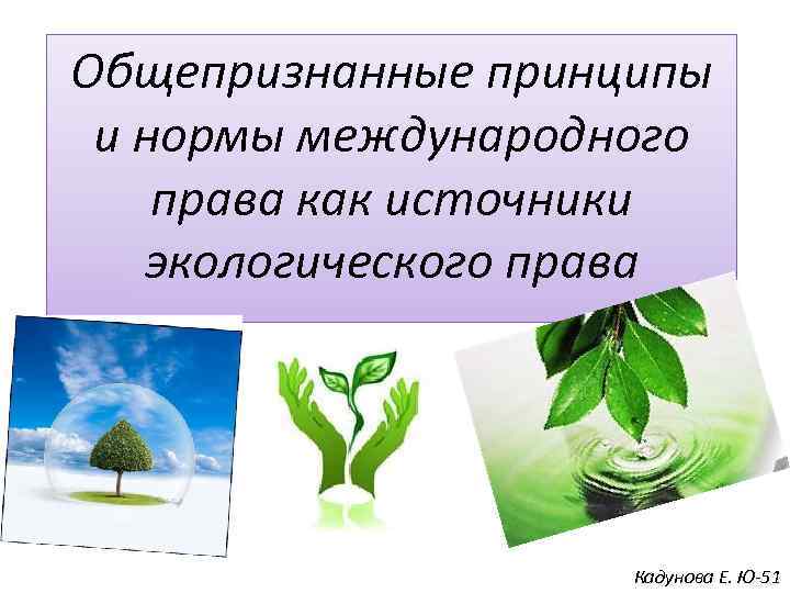 Общепризнанные принципы и нормы международного права как источники экологического права Кадунова Е. Ю-51 