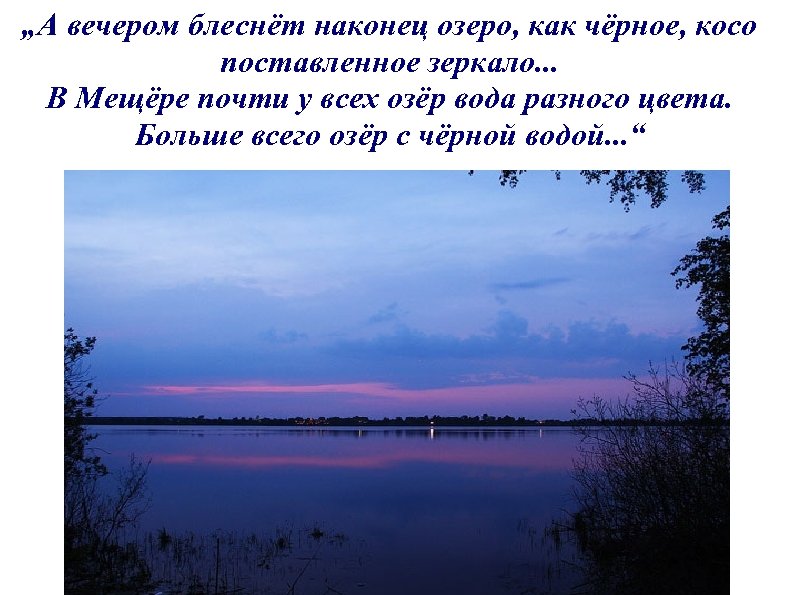 „А вечером блеснёт наконец озеро, как чёрное, косо поставленное зеркало. . . В Мещёре