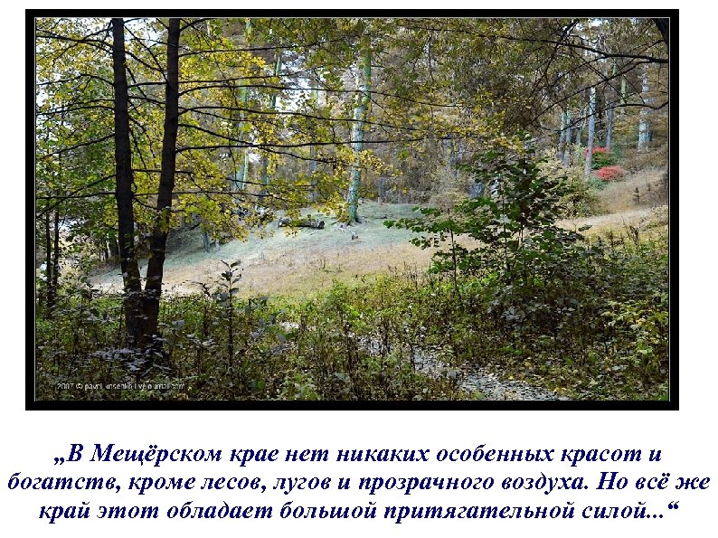 „В Мещёрском крае нет никаких особенных красот и богатств, кроме лесов, лугов и прозрачного