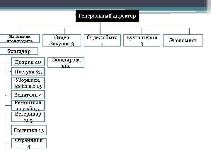 Генеральный директор Начальник производства Отдел Закупок 3 бригадир Доярки 40 Пастухи 25 Уборщики, мойщики
