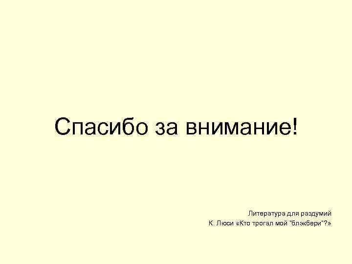 Спасибо за внимание! Литература для раздумий К. Люси «Кто трогал мой “блэкбери”? » 