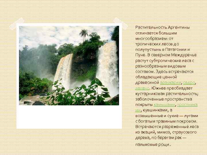 Растительность Аргентины отличается большим многообразием: от тропических лесов до полупустынь в Патагонии и Пуне.