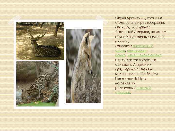 Фауна Аргентины, хотя и не столь богата и разнообразна, как в других странах Латинской