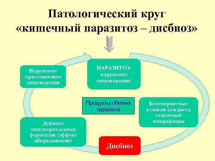 Патологический круг «кишечный паразитоз – дисбиоз» Нарушение пристеночного пищеварения ПАРАЗИТОЗ: нарушение пищеварения) Продукты обмена