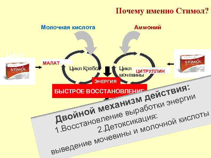 Почему именно Стимол? Молочная кислота Цикл Кребса МАЛАТ Аммоний Цикл Кребса Цикл ЦИТРУЛЛИН мочевины