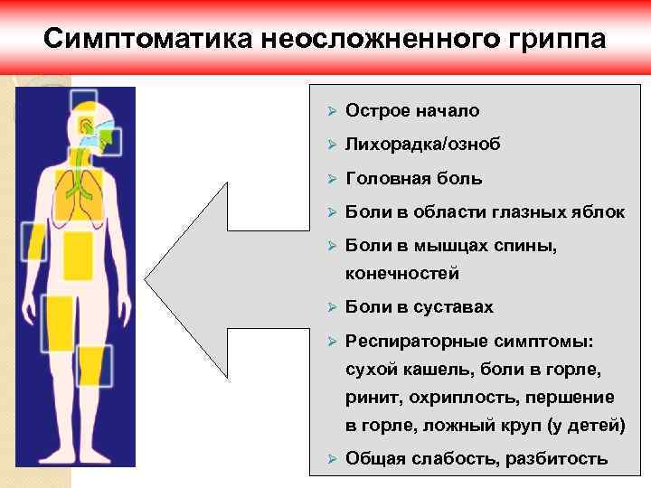 Симптоматика неосложненного гриппа Ø Острое начало Ø Лихорадка/озноб Ø Головная боль Ø Боли в