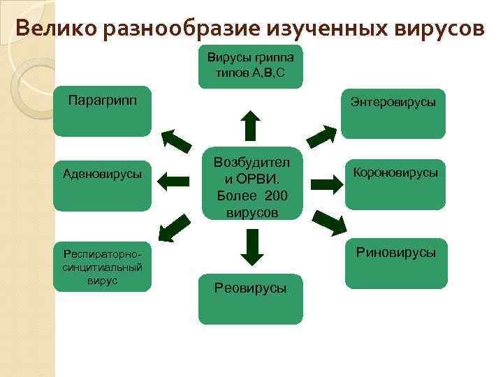 Велико разнообразие изученных вирусов Вирусы гриппа типов А, В, С Парагрипп Аденовирусы Респираторносинцитиальный вирус