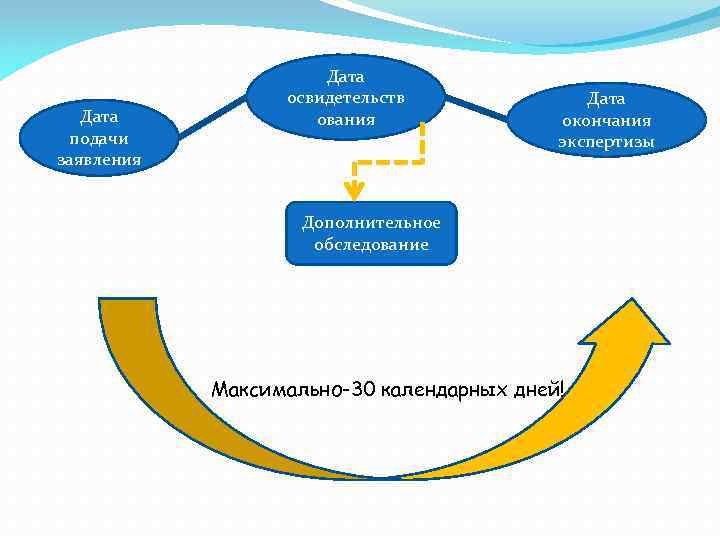 Дата подачи заявления Дата освидетельств ования Дата окончания экспертизы Дополнительное обследование Максимально-30 календарных дней!