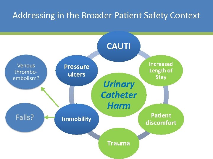 Addressing in the Broader Patient Safety Context CAUTI Pressure ulcers Urinary Catheter Harm Immobility