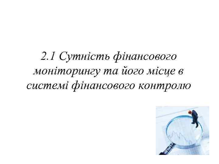 2. 1 Сутність фінансового моніторингу та його місце в системі фінансового контролю 