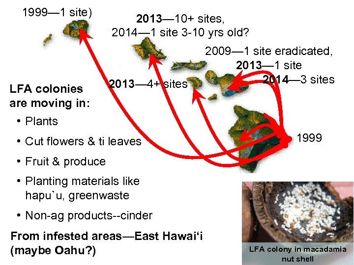 1999— 1 site) LFA colonies are moving in: 2013— 10+ sites, 2014— 1 site