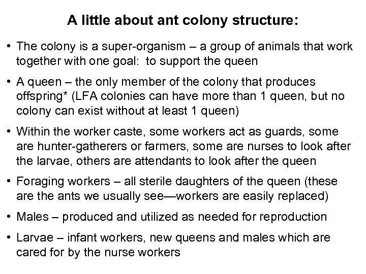 A little about ant colony structure: • The colony is a super-organism – a