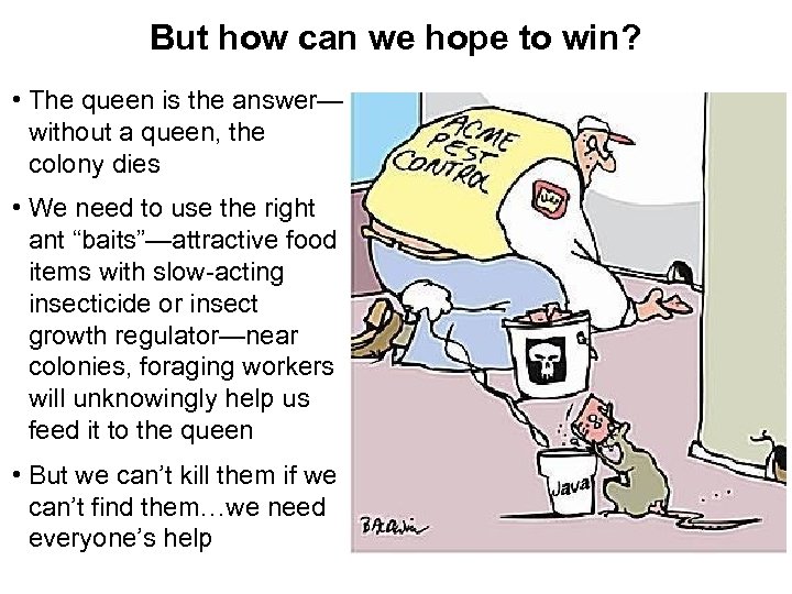 But how can we hope to win? • The queen is the answer— without