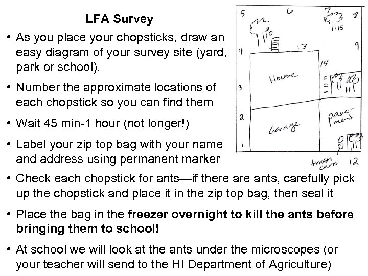 LFA Survey • As you place your chopsticks, draw an easy diagram of your
