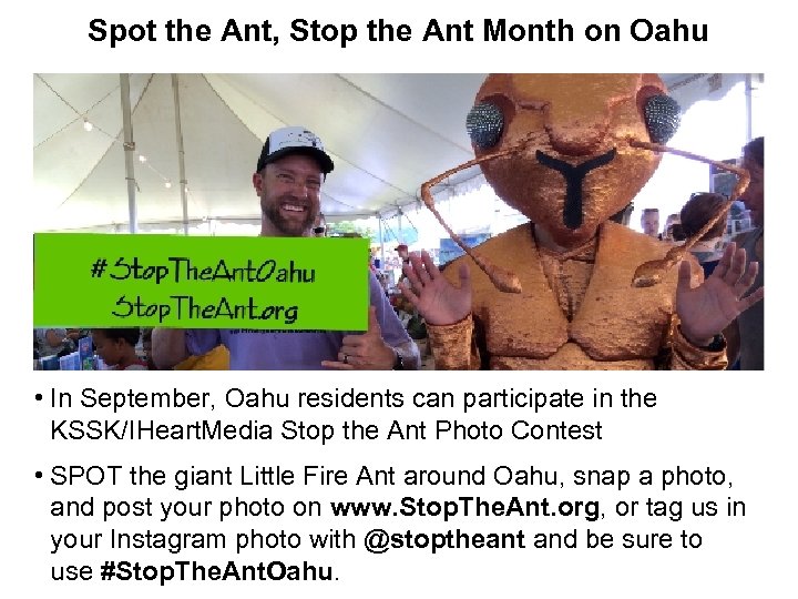 Spot the Ant, Stop the Ant Month on Oahu • In September, Oahu residents