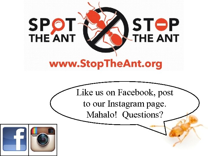 Like us on Facebook, post to our Instagram page. Mahalo! Questions? 
