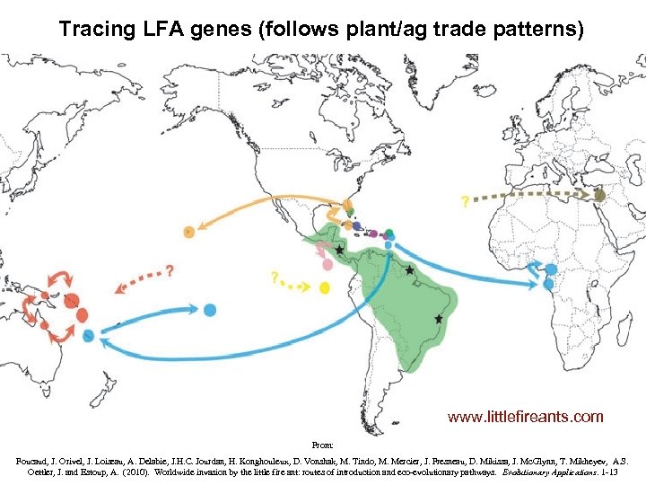 Tracing LFA genes (follows plant/ag trade patterns) www. littlefireants. com From: Foucaud, J. Orivel,