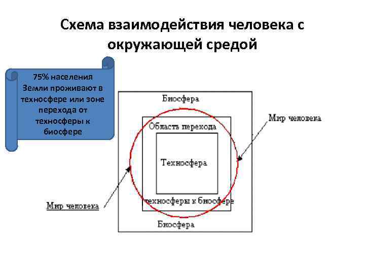 Схема взаимодействия человека с окружающей средой 75% населения Земли проживают в техносфере или зоне