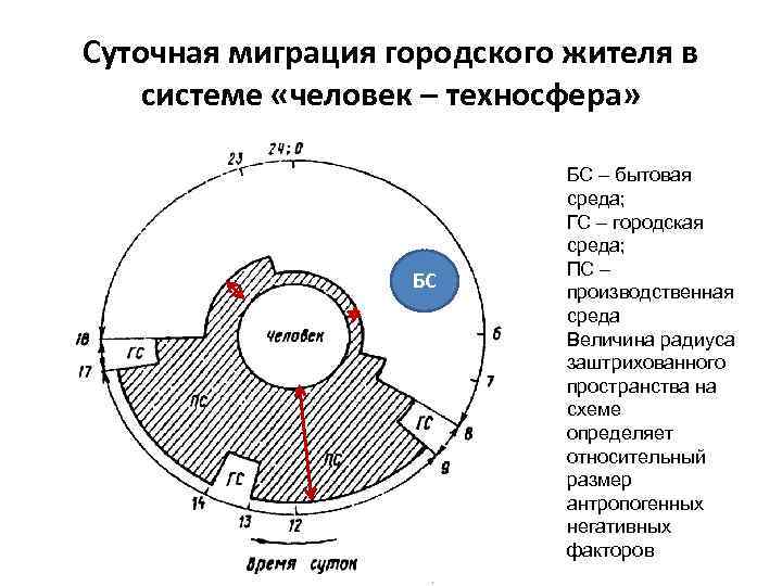 Суточная миграция городского жителя в системе «человек – техносфера» БС БС – бытовая среда;