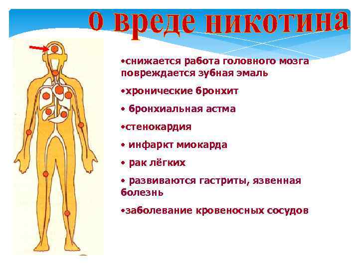  • снижается работа головного мозга повреждается зубная эмаль • хронические бронхит • бронхиальная