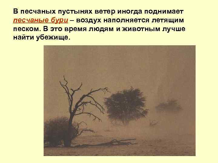 В песчаных пустынях ветер иногда поднимает песчаные бури – воздух наполняется летящим песком. В