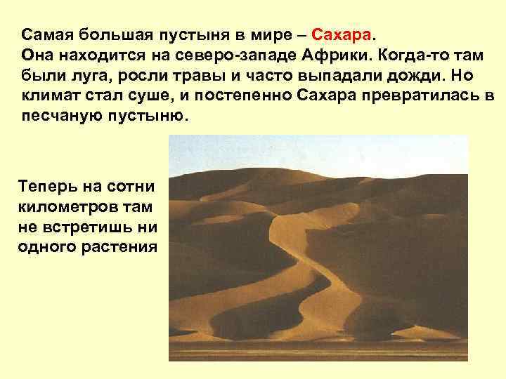 Самая большая пустыня в мире – Сахара. Она находится на северо-западе Африки. Когда-то там