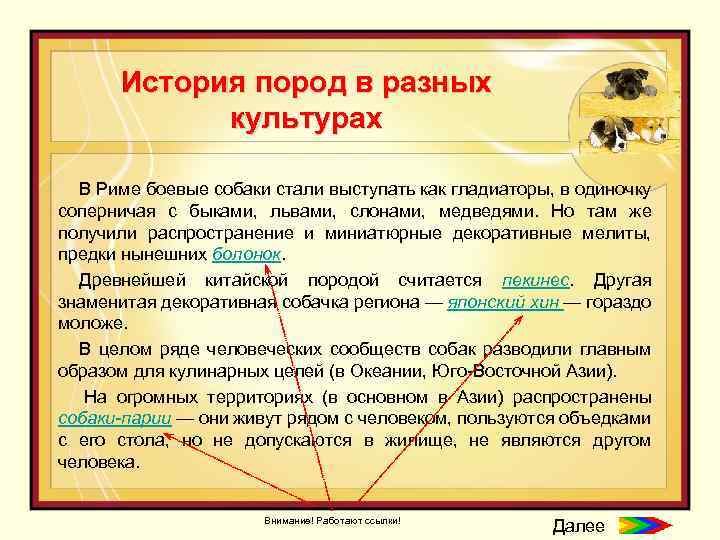 История пород в разных культурах В Риме боевые собаки стали выступать как гладиаторы, в