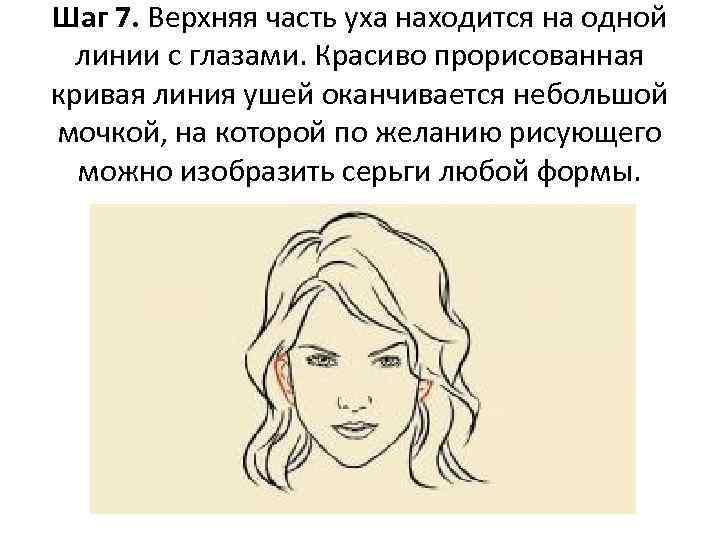 Шаг 7. Верхняя часть уха находится на одной линии с глазами. Красиво прорисованная кривая
