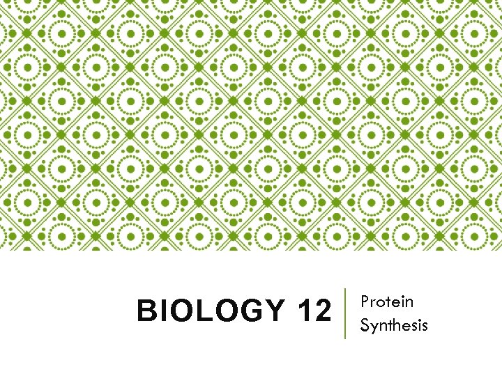 BIOLOGY 12 Protein Synthesis 