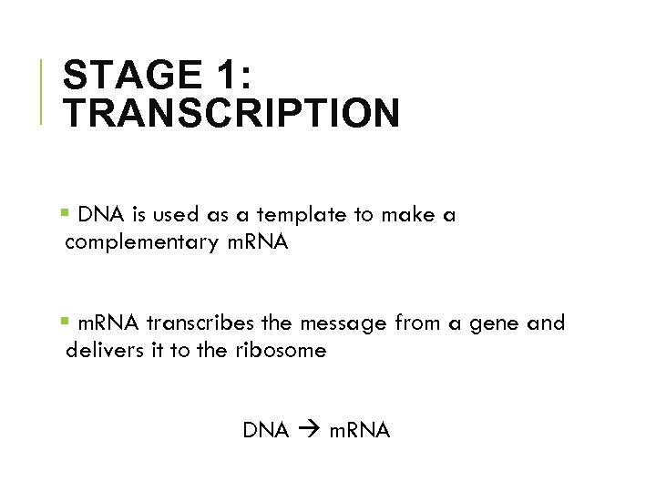 STAGE 1: TRANSCRIPTION § DNA is used as a template to make a complementary