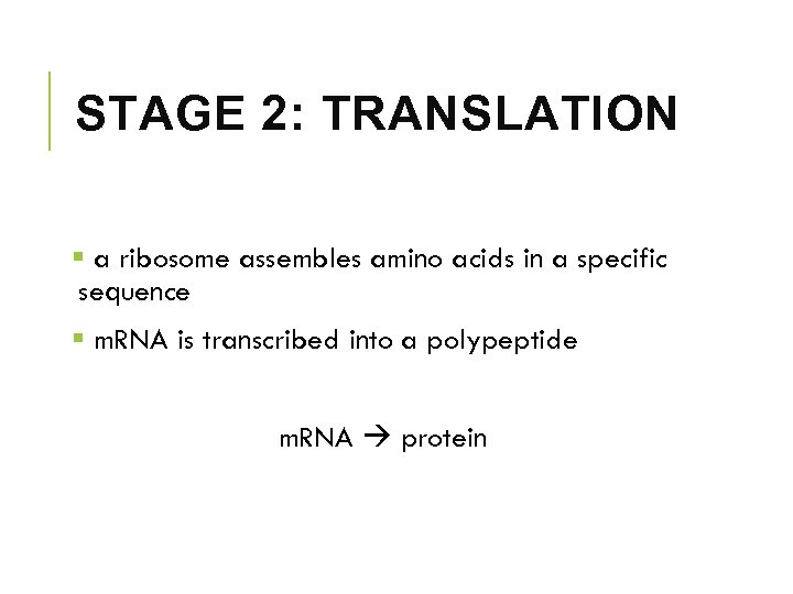 STAGE 2: TRANSLATION § a ribosome assembles amino acids in a specific sequence §