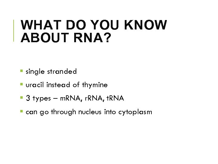 WHAT DO YOU KNOW ABOUT RNA? § single stranded § uracil instead of thymine