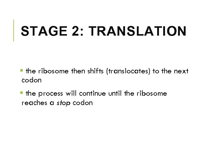 STAGE 2: TRANSLATION § the ribosome then shifts (translocates) to the next codon §