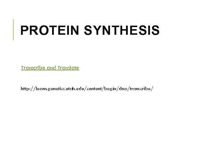 PROTEIN SYNTHESIS Transcribe and Translate http: //learn. genetics. utah. edu/content/begin/dna/transcribe/ 