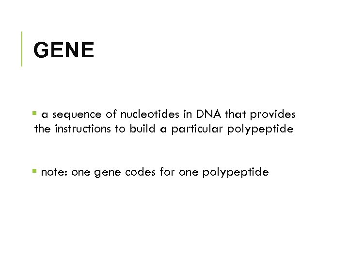 GENE § a sequence of nucleotides in DNA that provides the instructions to build