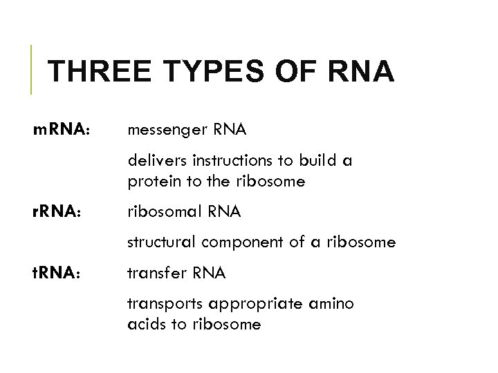 THREE TYPES OF RNA m. RNA: messenger RNA delivers instructions to build a protein