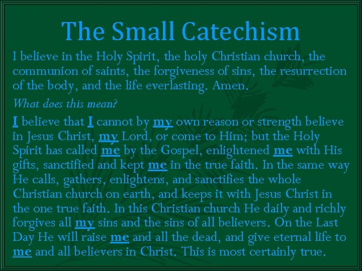 The Small Catechism I believe in the Holy Spirit, the holy Christian church, the